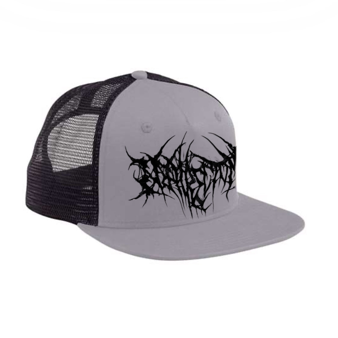 Nephrectomy Logo Hat